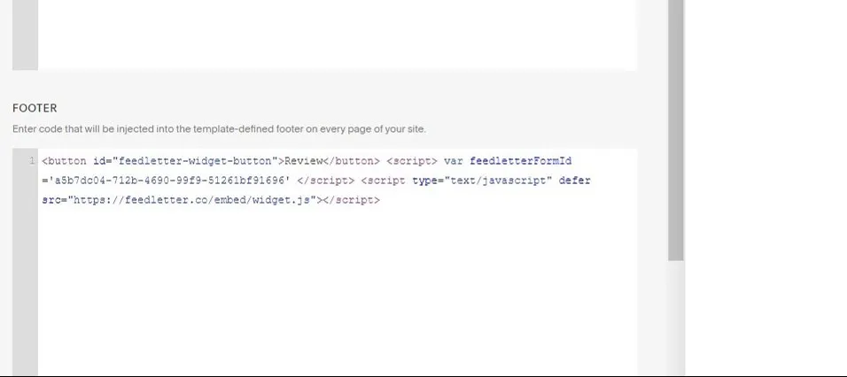 Code Injection - Footer with FeedLetter widget code